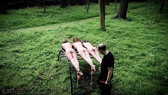 Bdsm-Bestr...