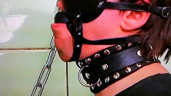Mini-Schwanz Und Bälle Für Einen Haufen Vergnügen Gefesselt