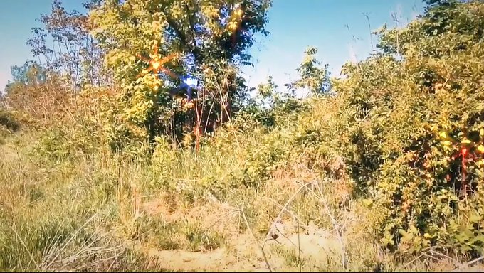 Ich Zeige Meine Großen Natürlichen Titten In Der Freien Natur